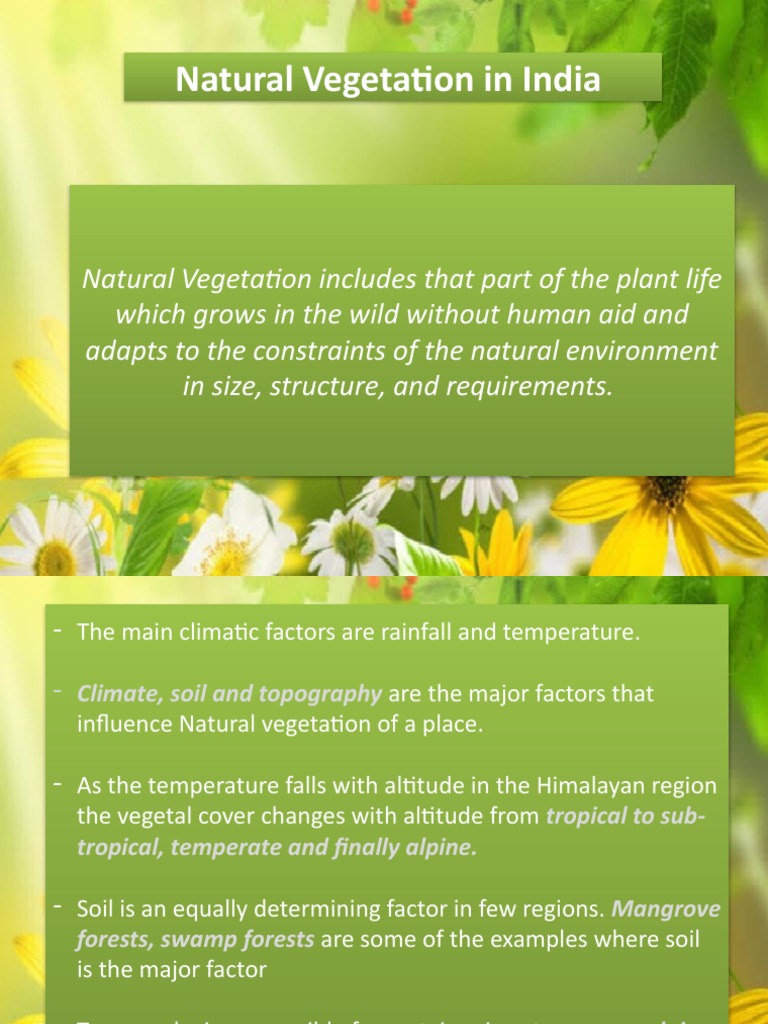 Natural Vegetation in India PDF Forests Tropics