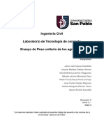 Informe de Peso Unitario