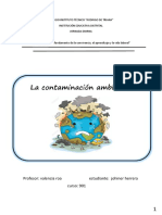 La contaminación ambiental y sus efectos