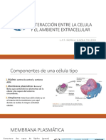 Unidad I. Membrana Plasmatica