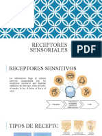 Unidad Ii. Receptores Sensoriales