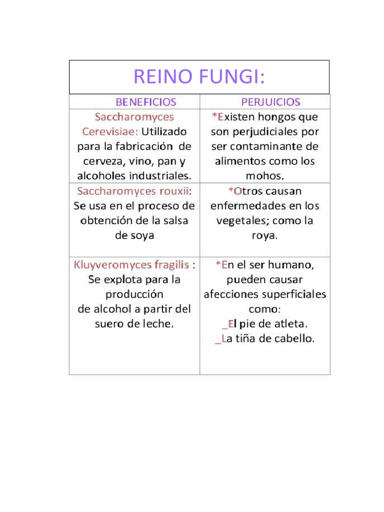 Beneficios y Daños Del Reino Protista | PDF | Salud y bienestar | Ciencia y  matemáticas