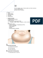 Disorders of The Endocrine System