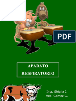 Aparato Respiratorio