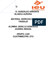 Proyecto Derecho Del Trabajo