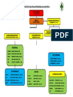 Struktur Oraganisasi PKM Kaso 2022