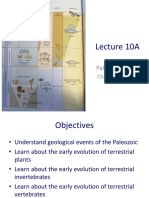 Maddin Lecture 10A Paleozoic Land