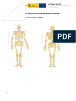 UD3 - Activitat 2 - Anatomia, Fisio I Malalties