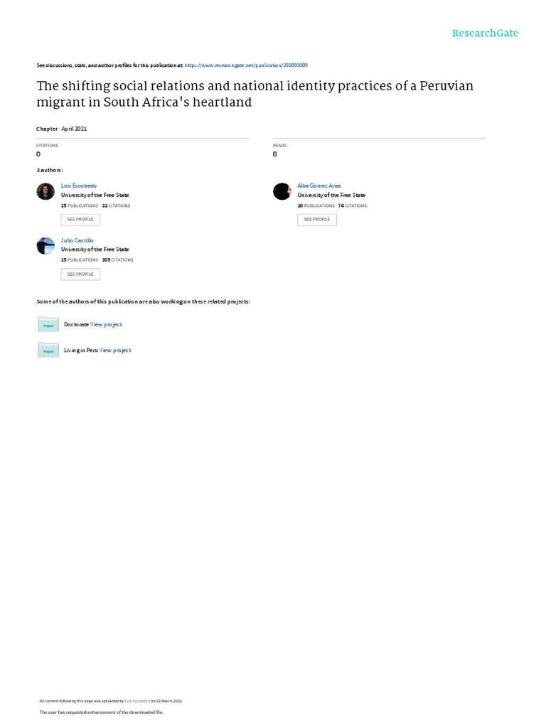 Peruvian Migrant Identity in South Africa | PDF | Identity (Social ...