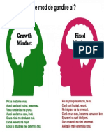 Growth Vs Fixed mindsetRO