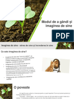 Modul de a gandi si imaginea de sine-converted