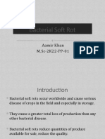 01-Bacterial Soft Rot