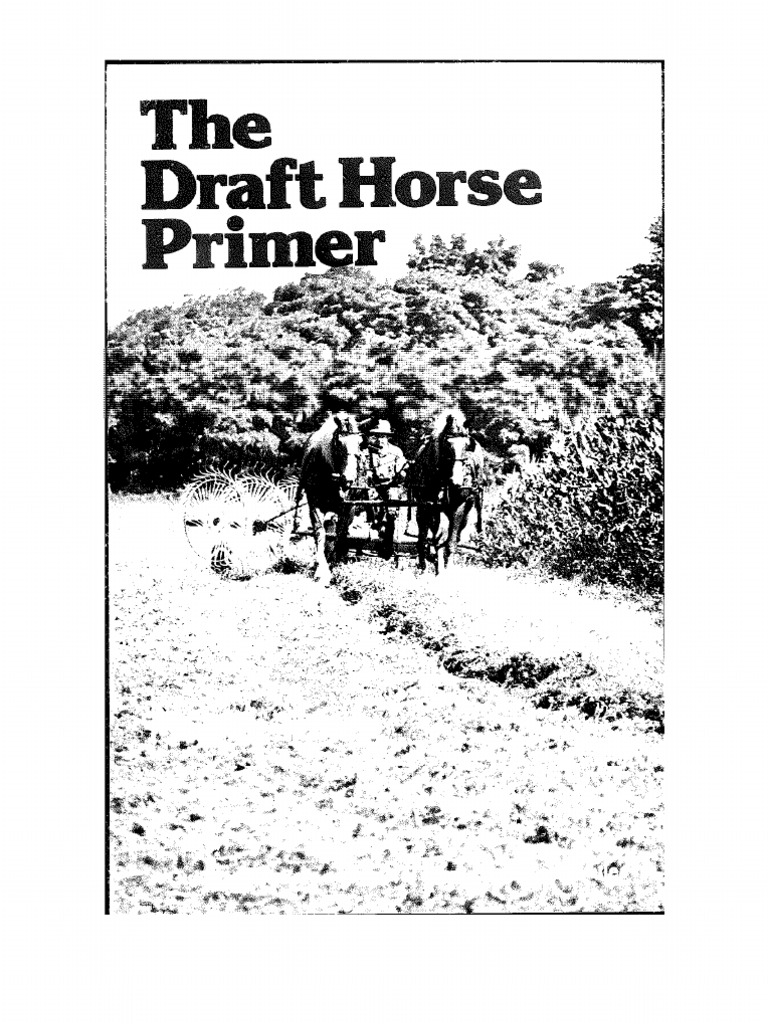 Article I pieced together from several articles. **Potato Farming of the  1940s** Clark County potatoes were famous in the nation's market places. In  1943, the New Carlisle area was planting a record, image size:768x1024