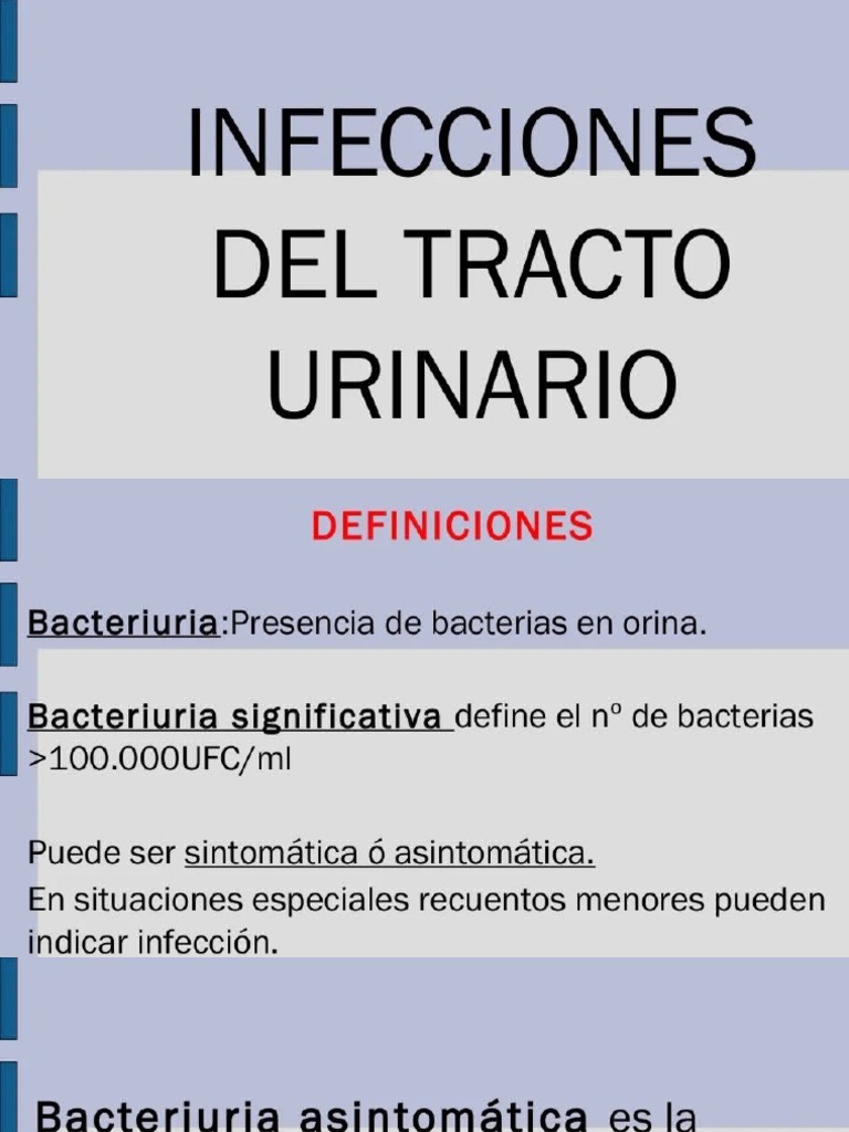 Infecciones Del Tracto Urinario Pdf