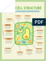 Green and Peach Organic Natural Plant Cell Biology Poster