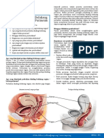 Posterior Vaginal Wall and Perineal Body Repair Indonesian RV2