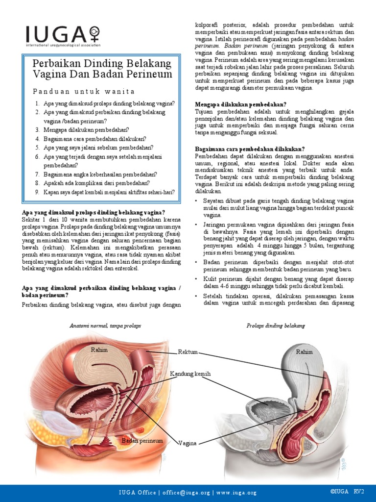 Bir talaba dan Blowjob onlayn