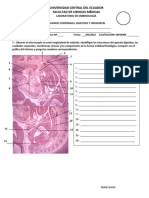 INFORME DE CAVIDADES-DIGESTIVO-UROGENITAL - Marzo 2022