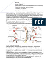 Distonia Neurovegetativa