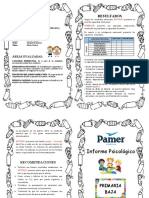 Modelo de Informe-Pb2017