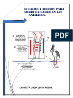 Fuente de Calor y Medios para Intercambio de Calor en Los Animales
