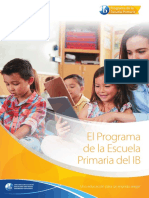 Pyp Programme