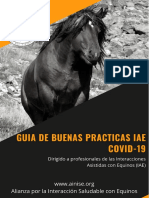 GuiaDeBuenasPracticasIAE Covid 19