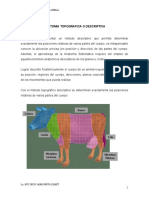 Tema 2 Anatomia