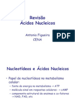 Revisao acidos nucleicos