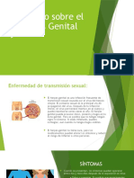 Trabajo Sobre El Herpes Genital