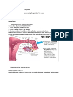 W1 Embryology