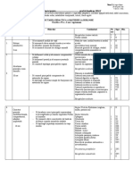 Curriculum Adaptat CL 6