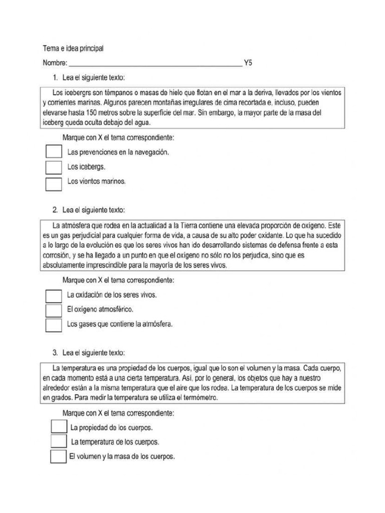 Ficha Idea Principal | PDF