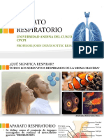 Aparato Respiratorio Diapositivas