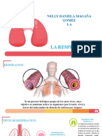 Sistema Respiratorio