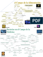 Bacterias en El Campo de La Alimentación y Medicina - Dariana Yamilé LÓPEZ YAURI