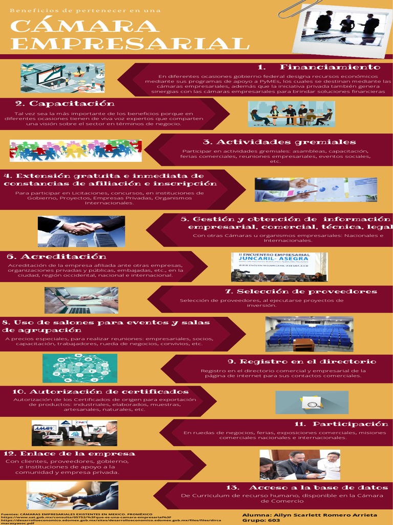 Infografía de Los Beneficios de Las Cámaras Empresariales | PDF ...