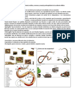 Curso serpientes de importancia médica, venenos y manejo prehospitalario del Acc Ofídico