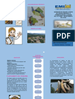 Triptico PDF