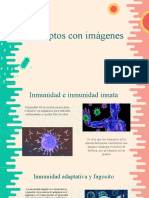 Conceptos Con Imagenes 16.08.22