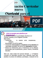 Planificacion Curricular