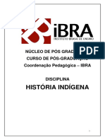 Apostila HISTÓRIA INDIGENA APOSTILA