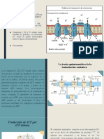 La teoría quimiosmótica de la fosforilación oxidativa y sus inhibidores