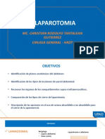 Mehu107 - 8 - Laparotomia y Suturas