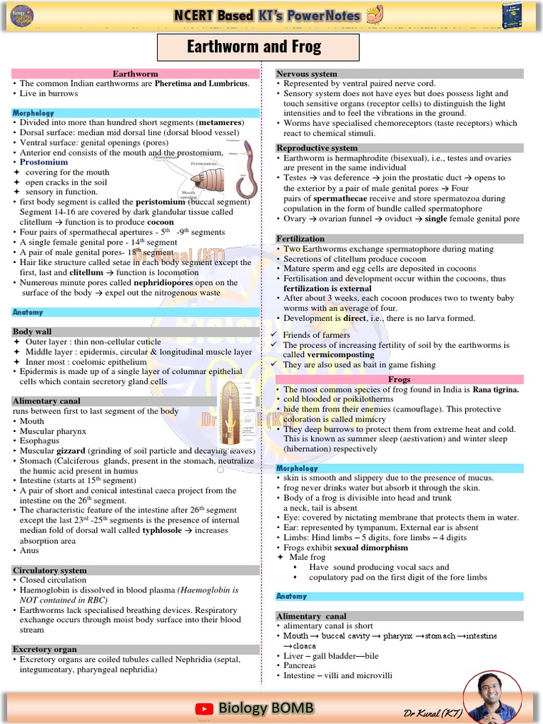 Earthworm and Frog NCERT PowerNotes | PDF | Epithelium | Organ (Anatomy)