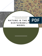 Nature Is The Best Sustainability Model