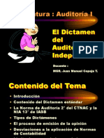 Dictamenes de Auditoria