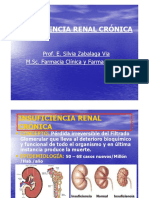 PDF Insuficiencia Renal Crónica