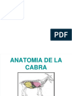 Dlscrib.com PDF Anatomia de La Cabra Dl 6b487efa2ce9babfdf0830d5f82ccf0b (1)