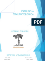 Historia y Evolución PDF